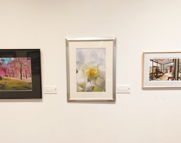 国際平和美術展2026 in 金沢
